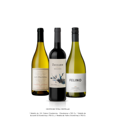 SET REINA DE BLANCAS